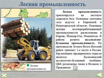 Какие виды производства объединяет лесная промышленность