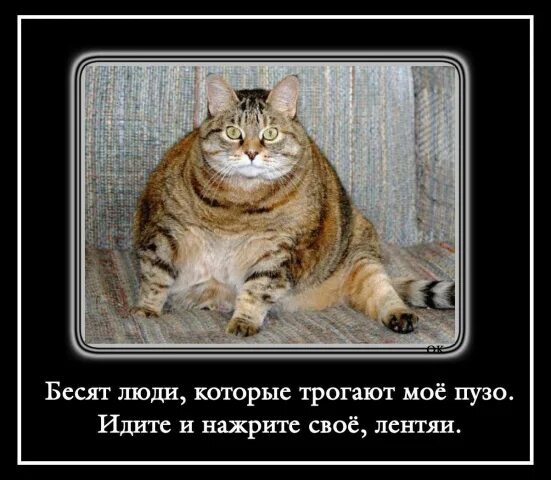 Какие люди бесят. Какие люди бесят. Прочитал и не ответил картинки. Какие люди бесят. Меня бесят люди мем.