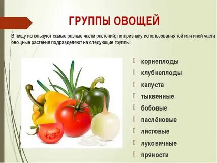 Какие овощи относятся к фруктам