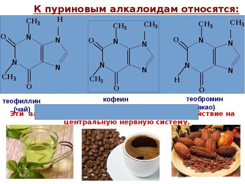 К электронным соединениям относятся. Алкалоиды пуринового ряда. Гетероциклические соединения и алкалоиды. К гетероциклическим соединениям относятся. Алкалоид производное Пурина.