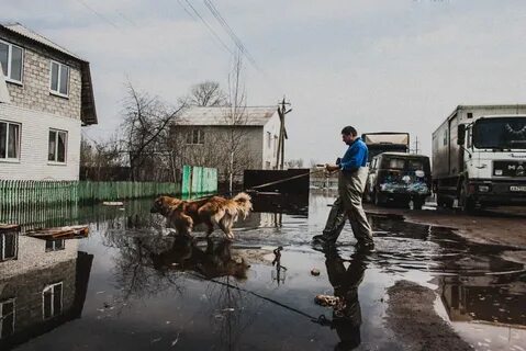 Погода в крыловке
