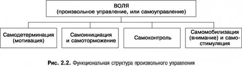 Состав на произвольную