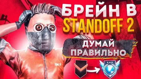 Школа брейна