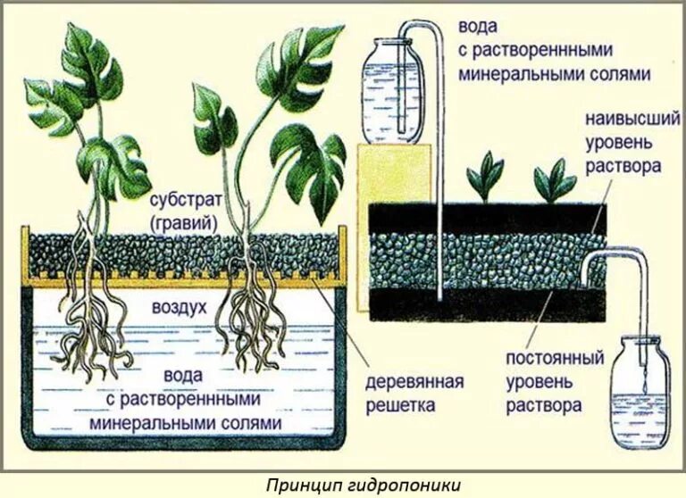 Практическая работа технологии выращивания растений. Гидропоника чертеж. Гидропонная система своими руками. Гидропонная система схема. Схема гидропонной установки.