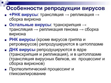 Особенности рнк