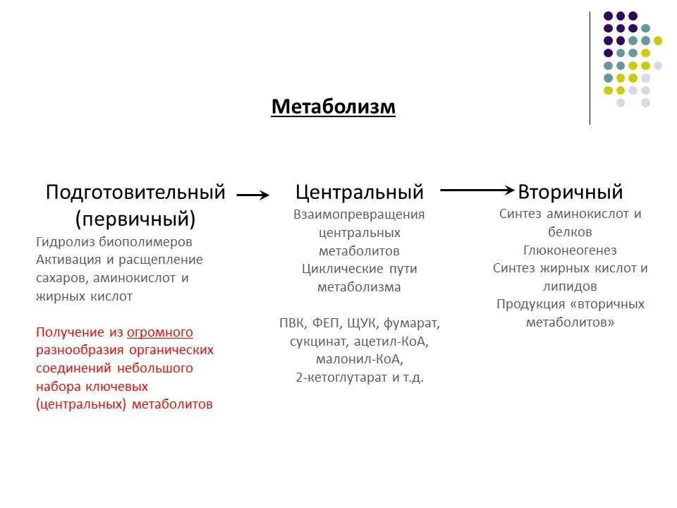 Пример первичной