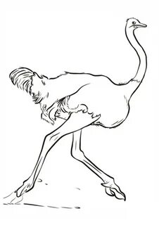 Рисунок страуса