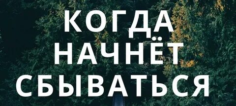 Сбывшиеся мечты дзен