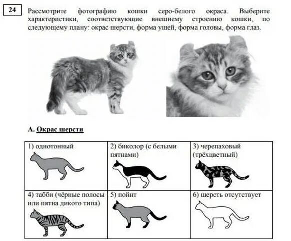 Демо версия огэ биология 2025. Огэ биология 2025. огэ по биологии задания. как подготовиться к огэ по биологии 2025. критерии по биологии огэ 2025.