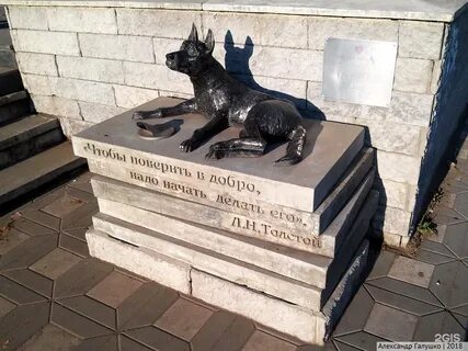 Собаки киров