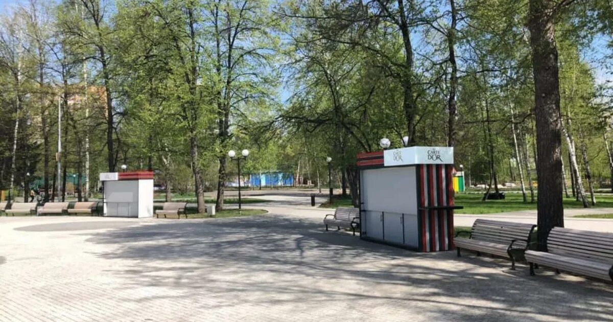 Музыкальный фонтан в новосибирске в центральном парке. Фонтан в центральном парке новосибирска. Новосибирск фонтан в центральном парке расписание. Центральный парк (новосибирск) парки новосибирска. Центральный парк новосибирск режим работы.