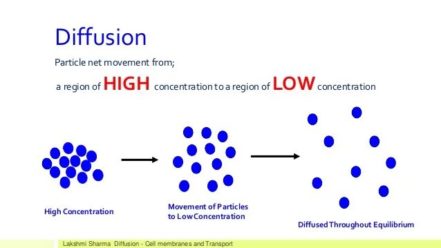 Diffusion. Stable diffusion логотип. Unstable diffusion нейросеть. Reaction diffusion.