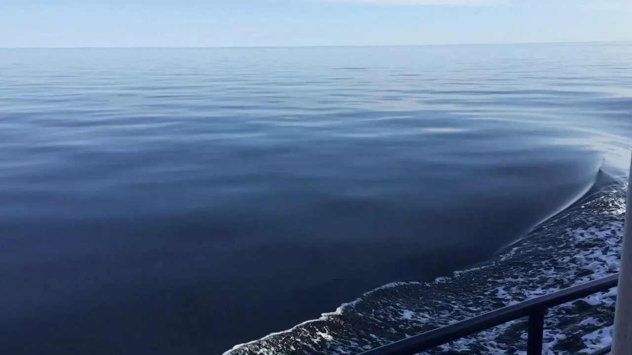 Штиль на море. Полный штиль на море. Белый штиль Балтийское море. Море на белом фоне. Стоял полный штиль море