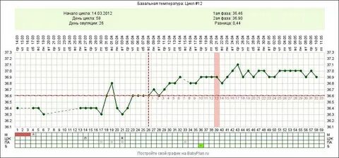 Базальная температура при беременности до задержки