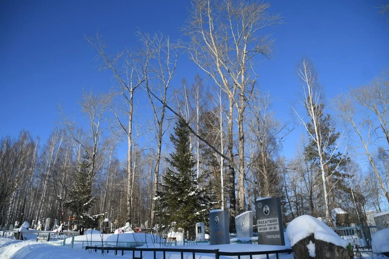 Вновь кладбище. Ревда кладбище. Ревдинское городское кладбище. Кладбище город Ревда. Ревда тополя.