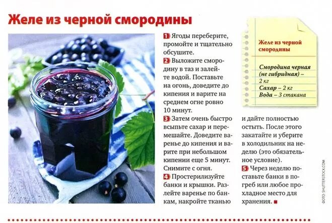 сколько надо ягод. схемы подкормка ремонтантной малины. какие витамины содержит черная смородина. схема подкормки ремонтантной клубники. сколько надо ягод.