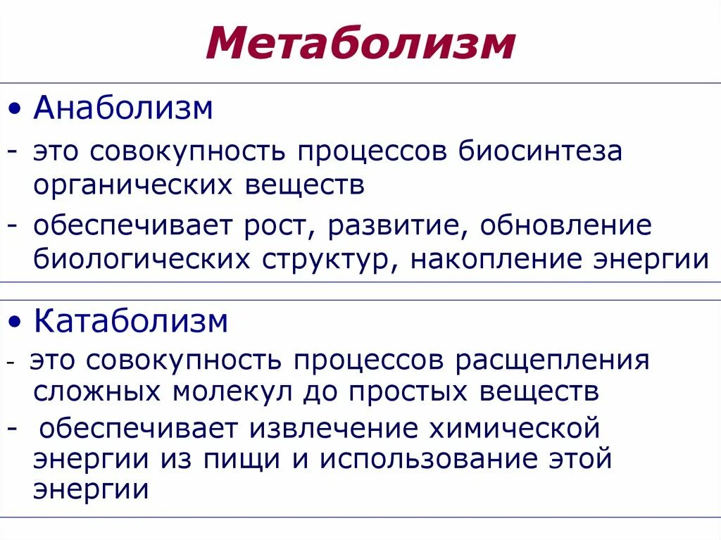 Анаболизм процесс синтеза