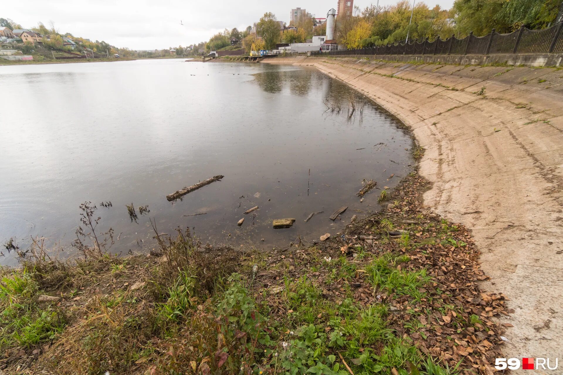 Сад будущего пруд. Авгура мордовия пруд. Пугачев где купаться. Пруд 24. Дашки песочные рязань пруд.