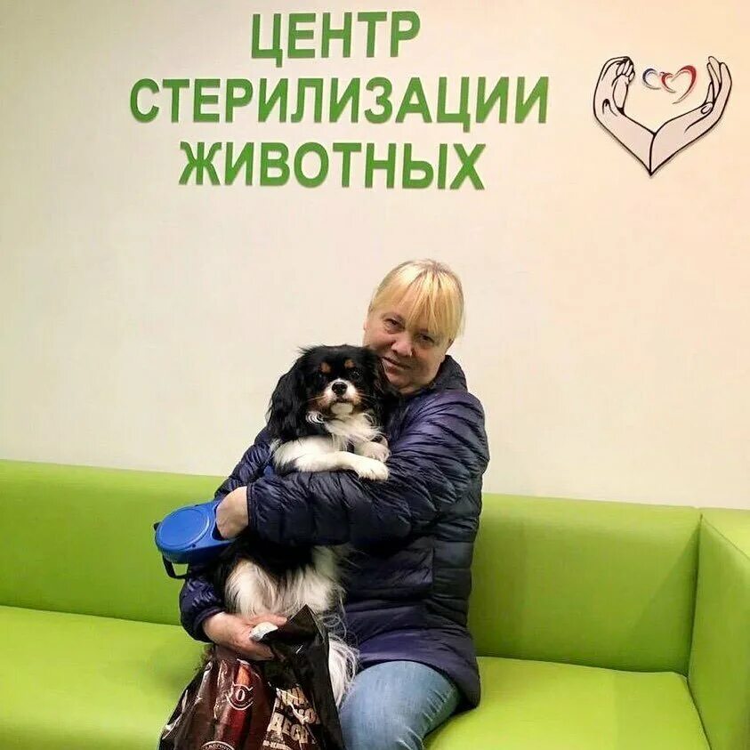 Всемирный день кастрации животных. Центр стерилизации животных. «собачий патруль» (ул. Стерилизация бездомных животных. Акция ветклиника.