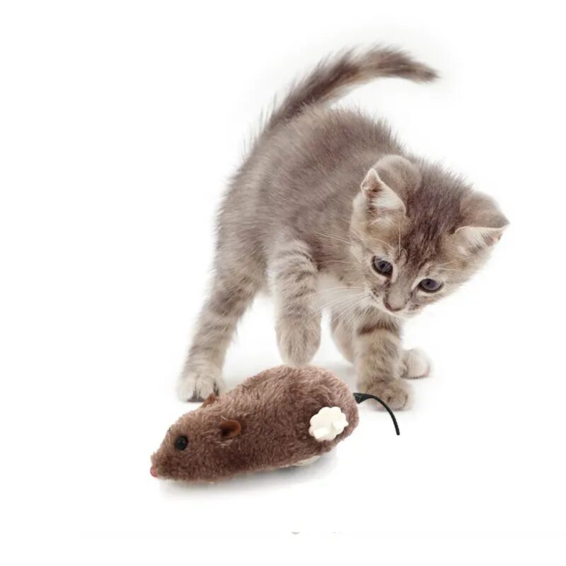 Кот играет с игрушкой