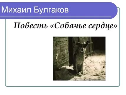 Пролетариат в повести собачье сердце