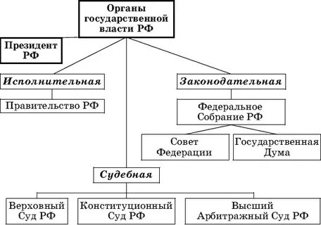 Конституционное право органы государственной власти