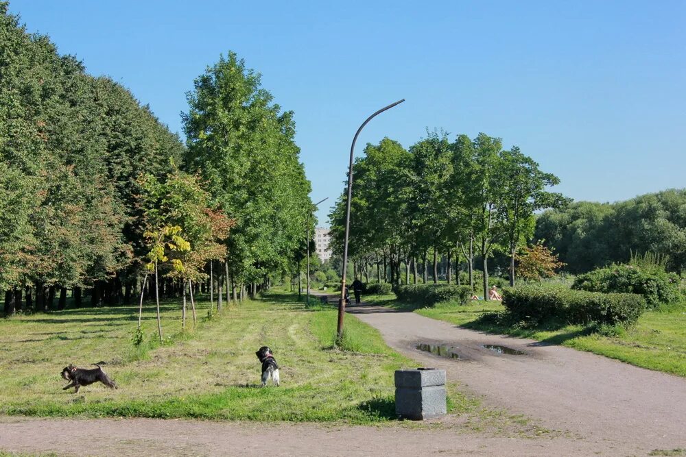 Парк авиаторов фото. Парк Авиаторов Санкт-Петербург. Парк Авиаторов Великий Новгород. Парк Авиаторов Санкт-Петербург Кировский район. Парк в парке Авиаторов.