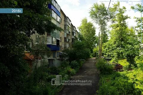 Средний венец
