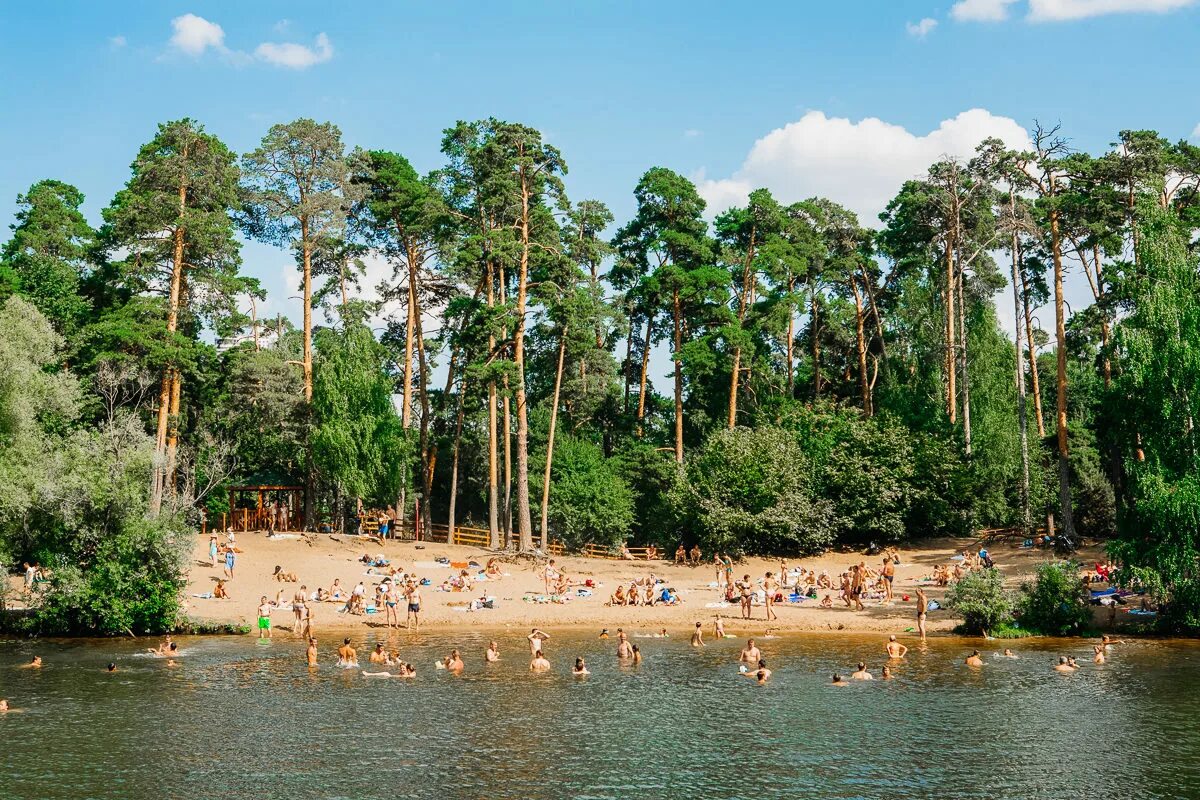 Водный берег 2. Серебрянный Бор пляж Москва. Москва Сосновый Бор парк 3 пляж. Лесопарк серебряный Бор Москва. Серебряный Бор Хорошево Мневники пляж Москва.