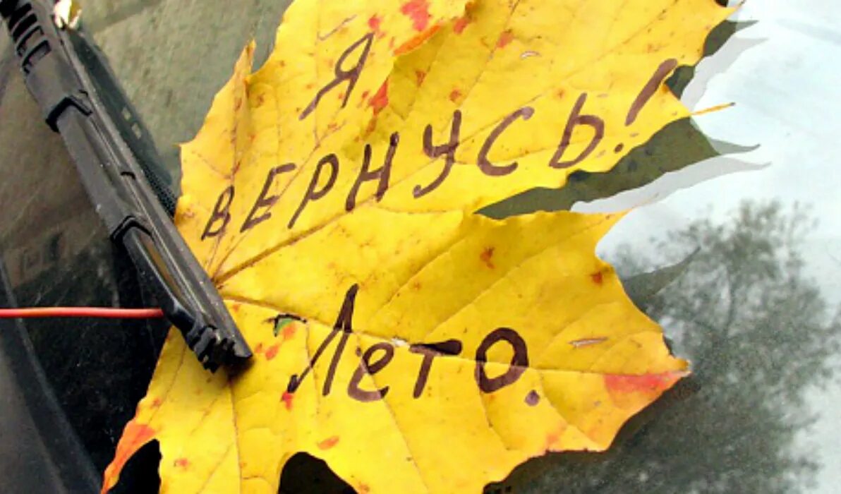 Лета как не бывало