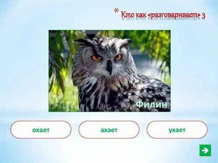 Как настроить филин