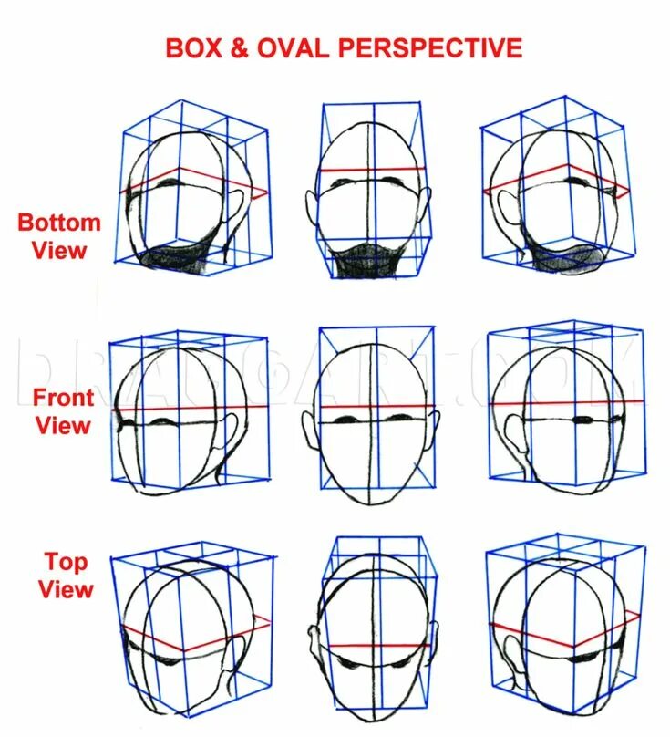 How to bottom