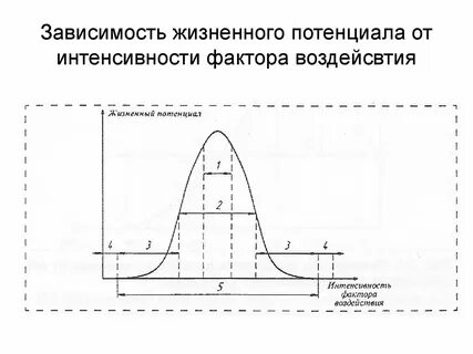 24 зависимость