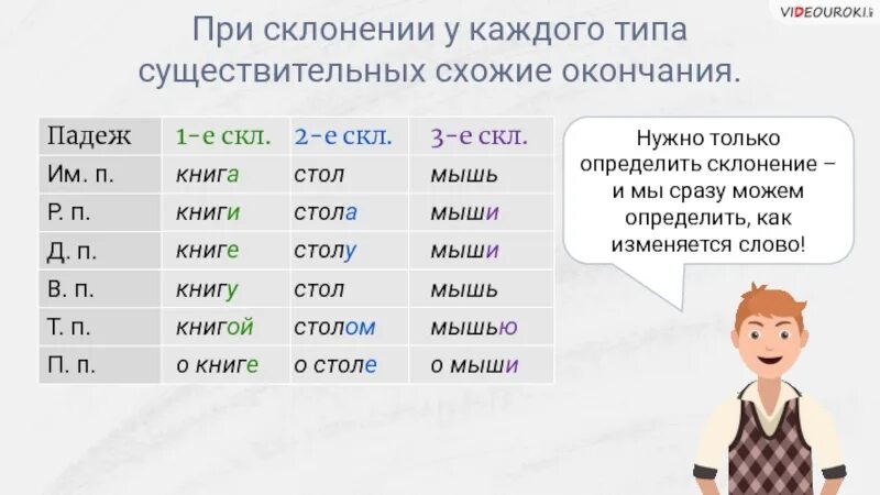 Разносклоняемые существительные в п п имеют окончания. Склонение разносклоняемых существительных таблица. Разносклоняемые и Несклоняемые существительные. Окончания разносклоняемых существительных. Склонение существительных разносклоняемые и Несклоняемые.