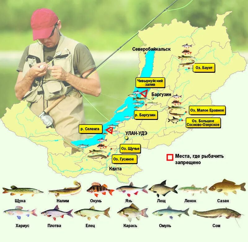 Рыбное место. Рыболовные места. Карта рыбных мест. Рыбацкие места на карте. В каких местах ловят рыбу