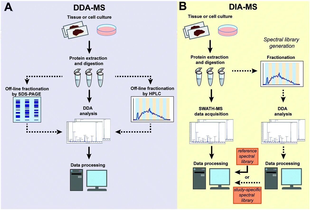 Mass data. Mass spectrometry ms/ms proteomics. mass spectrometry data. инфографика спектрометрия. inorganic mass spectrometry.