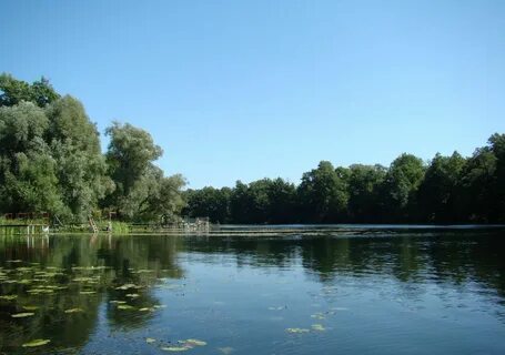 Ступино рамонский воронежская
