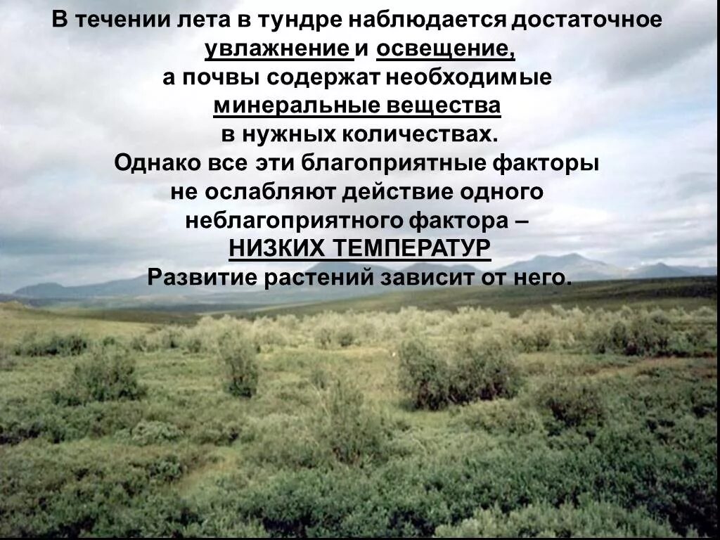 Увлажнение в тундре. В течение лета. Тундра увлажнение почвы. Тундра факторы среды.