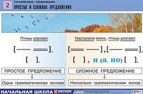 Картинка простое предложение