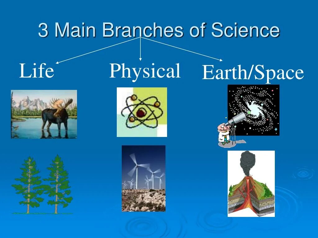 Physical life. Branches of Science. Branches of Science слова. Branches of Science Life Science physical Science Earth Science. Branches of physics.