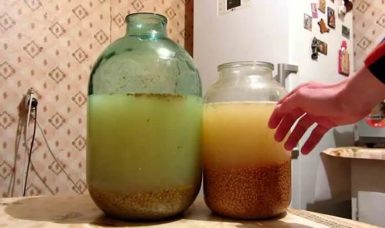 Можно добавить в брагу самогон. Брага из пшеницы для самогона. брага (напиток). ингредиенты для браги. самогон на пшенице без дрожжей.