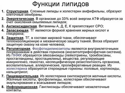 Липиды и белки строение и функции