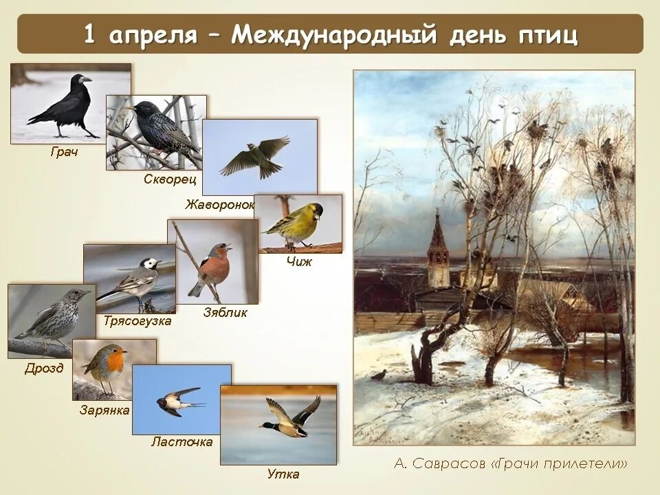 1 апреля всемирный день птиц. День птиц. Международный день птиц. 1 Апреля день птиц. Международный праздник птиц.