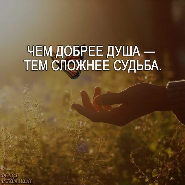 Жизнь и судьба фразы. Чем добрее душа тем сложнее. чем добрее душа тем сложнее судьба. душевные высказывания. чем добрей дкшс тем мложней скдьба.