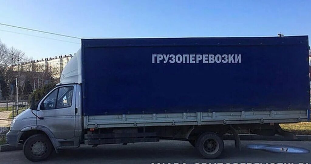 Анапа транспортный каркас. Муравей грузоперевозки анапа телефон. Визитки по грузоперевозкам. Фон для визитки грузоперевозки. Грузоперевозки анапа газель.