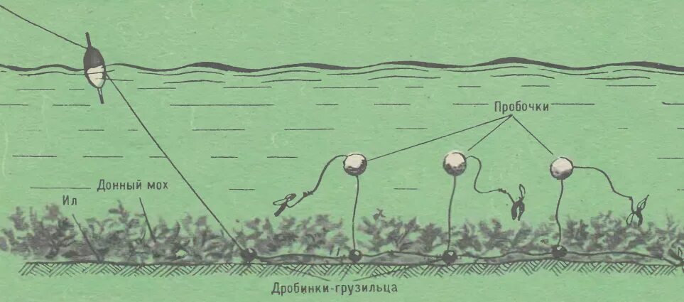Как ловить на донную снасть. Как ловить на донную снасть