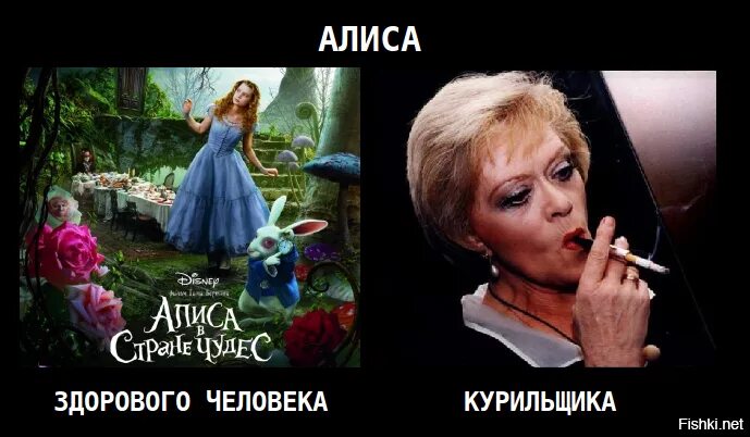 Абсолем алиса в стране чудес. Что курила алиса. Синяя гусеница из алисы в стране чудес. Алиса в стране чудес гусеница с кальяном. Гусеница из алисы в стране чудес.