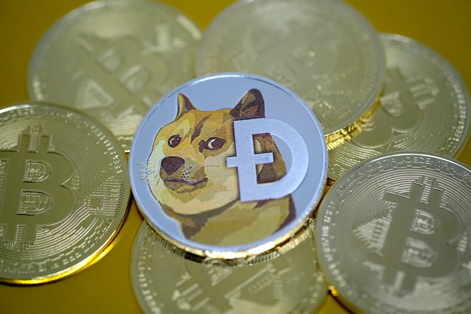 Dogs монета. Догикоин. Монета с собакой. Dogs монета. Криптовалюта с собакой.
