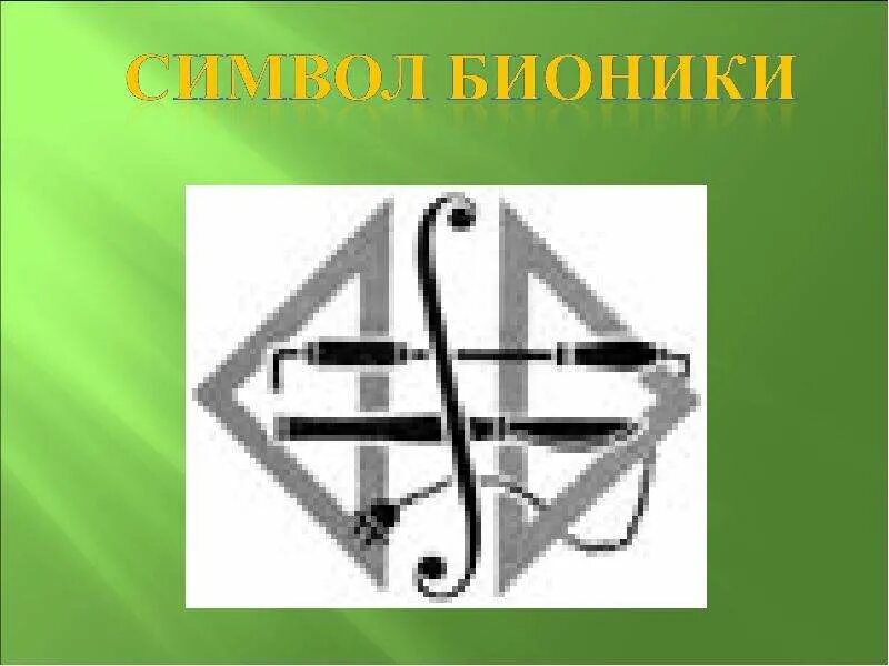 Бионика наука. Монтаген бионика. Бионика. Бионика. Аналогия строения стеблей злаков и современных высотных сооружений.