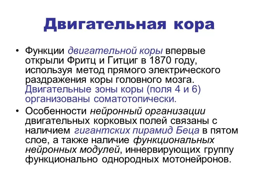 Функции коры. Анализаторные функции новой коры. интегративные зоны коры. организация двигательной коры. методы исследования функций коры.
